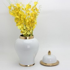 Ingwerglas aus Keramik mit